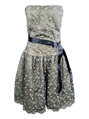 JESSICA MCCLINTOCK STUNNING Vintage
Strapless Corset Tulle Dress, Size 10.